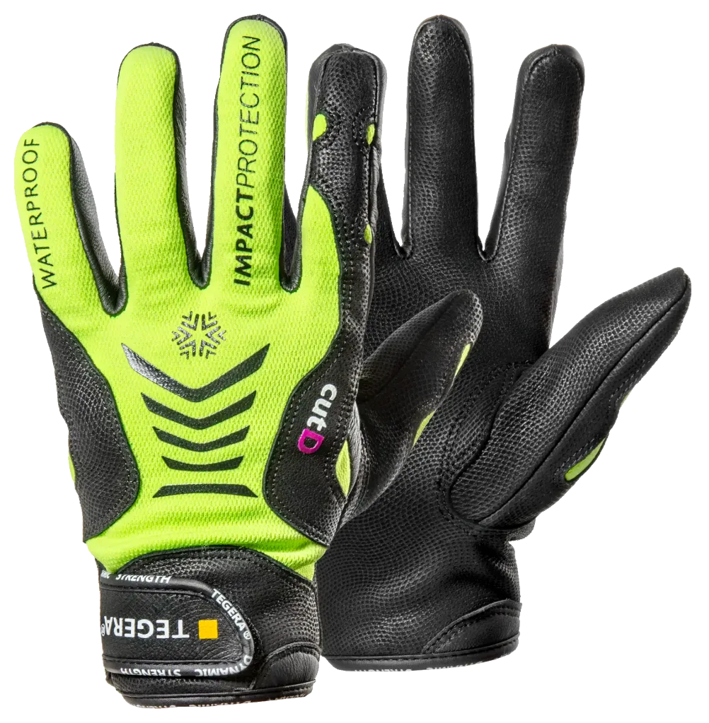 [7776-7] TEGERA Dynamic Strength 7776 (7)